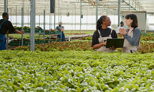 Agri Supply Chain Digitization