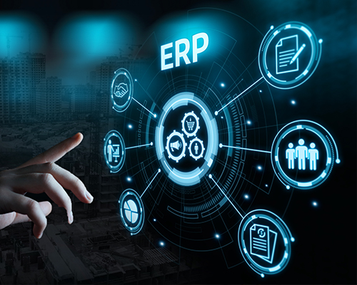 ERP Needs Assessment