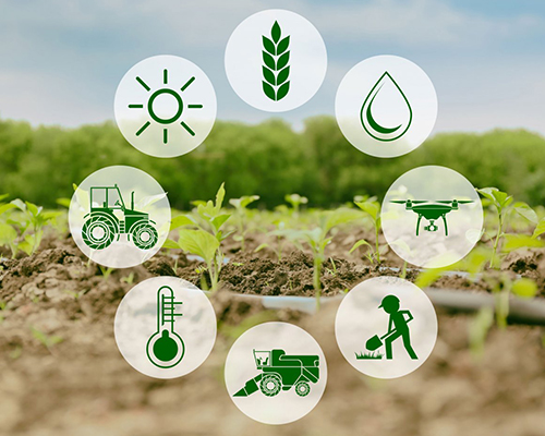 Agriculture